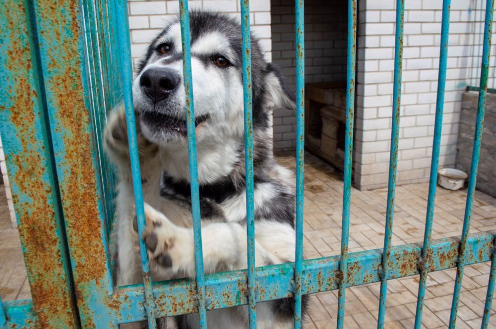 ���������� �������� � �������� ������� ��������� ������ ��� ��������