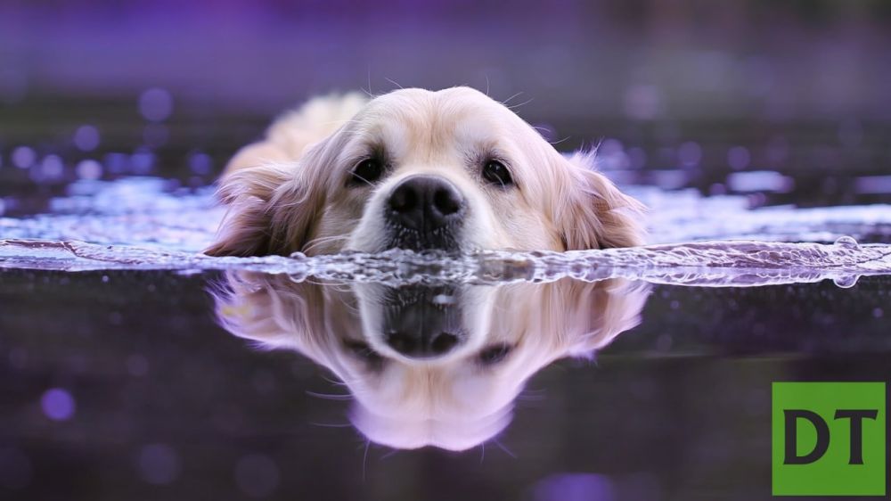 �������� ����� ���Ի ������� ����