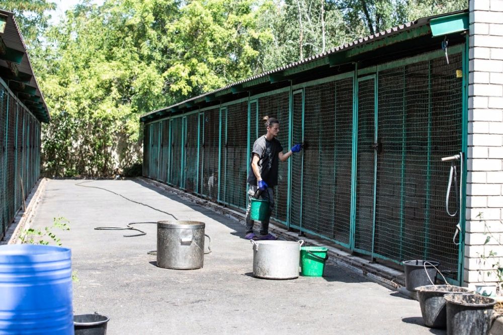 �������� �� �� ������� �������� � ��������� �������� ��� ������ "���"