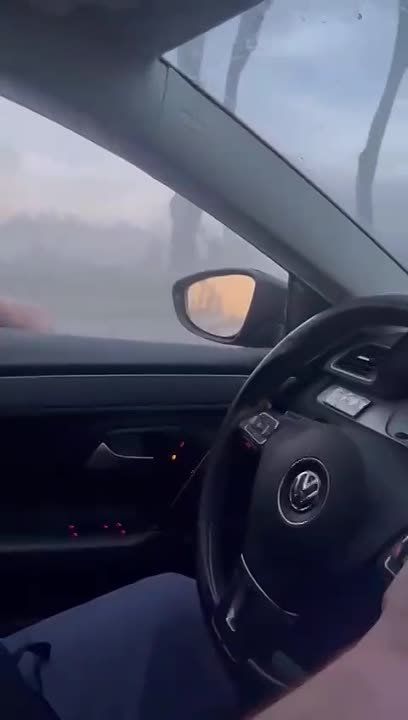 ��������� �������� ����������� - ���������� �����������: