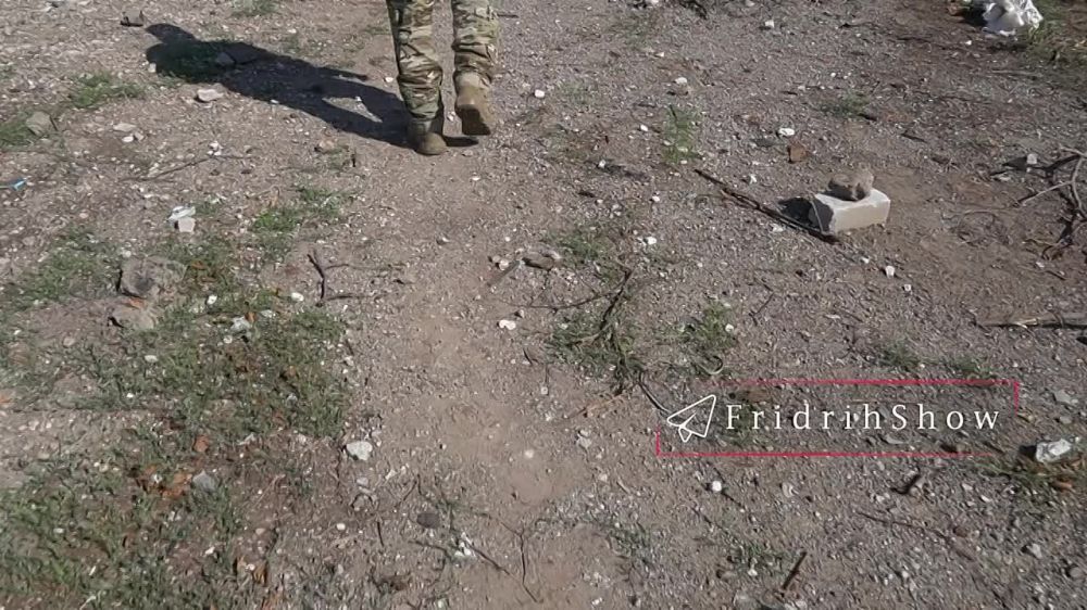 �������� ������ ���������� � ������ ���������, ������� ����� ���������� ������ ������, ���������� �����