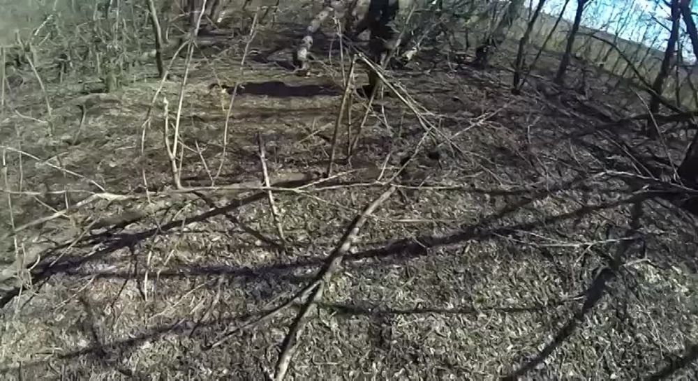 18+. ��������ʻ - ��������� ������ ������� ��������