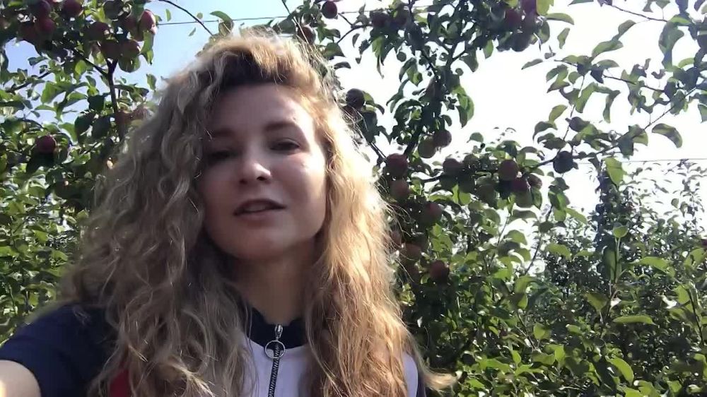 ����� ������, ������ ������ - ����������