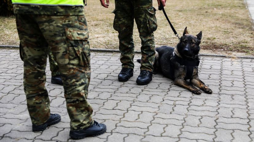 ���� ������� � ��������� �� ���� ���������