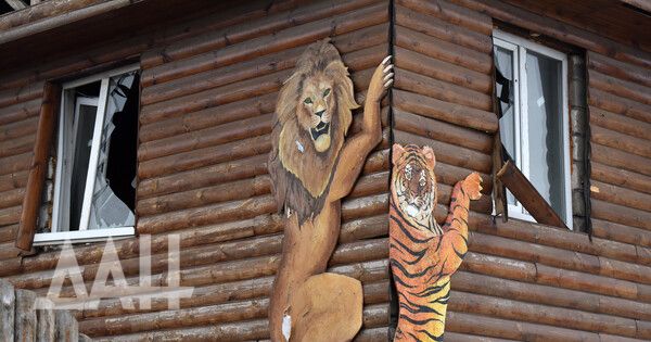 ��� �������� ����������� � ������ ����� �������� � ���������