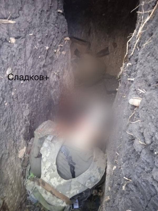 ������� ����� ��������� ������� @Sladkov_plus