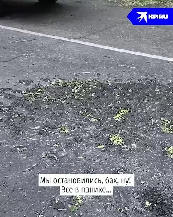 ����� � �����. ������� � ������� ���������� ����� ����� �������. ������� ��� ������ � ����� � ���������� �������. ������� � ���������� ������ ����. ����������� - � ��������� ������������ �������������� "��" ������� �������