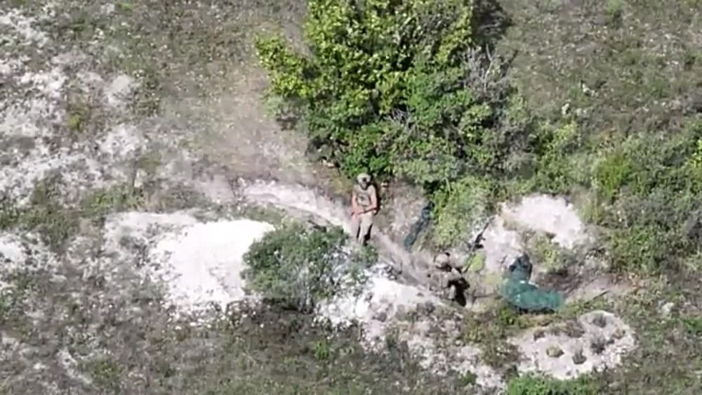 ����������� ������� ���������� ������� ��������������� ������� � ��� ����� � �������