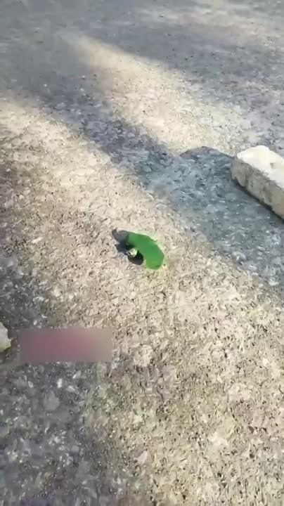������� ���������� ������� ������ ��������� ��������