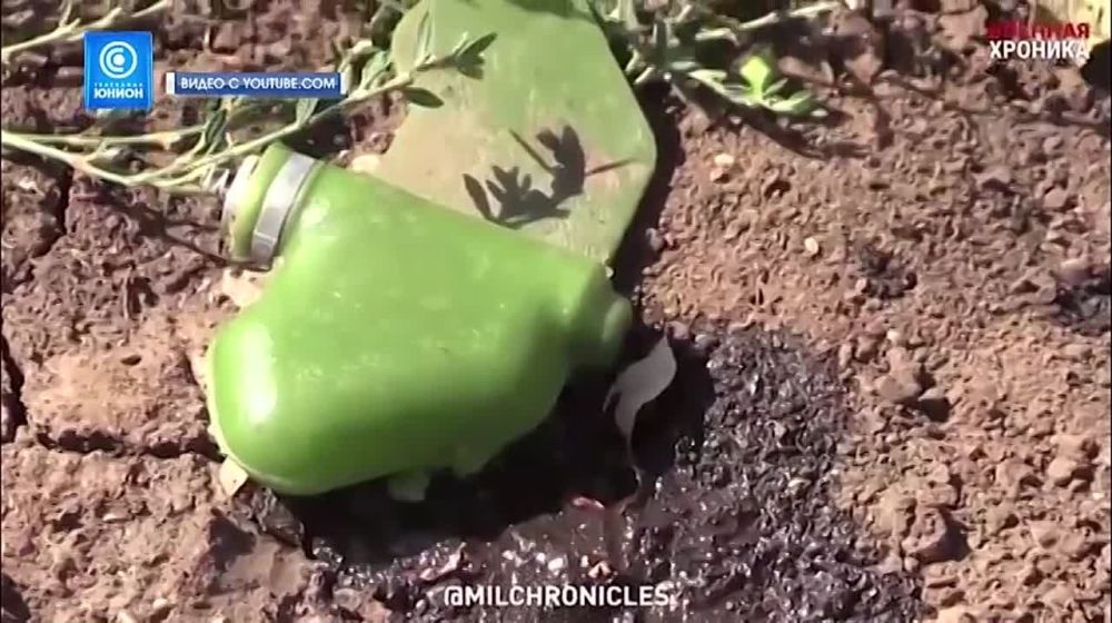 ��� ��������������: ��� � ����� ���������?