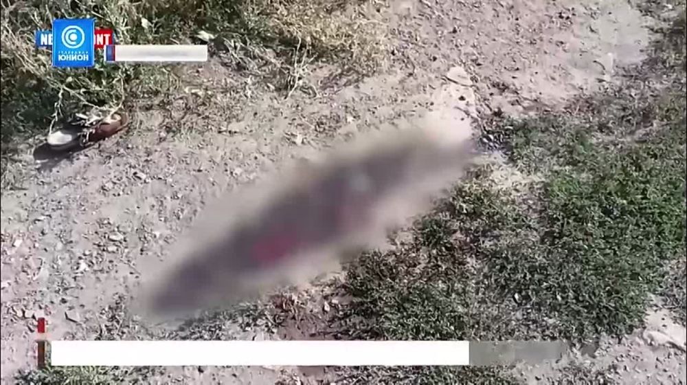 ���� ������� �� ������ ����������� �����: ��������� �������� ������ ��������