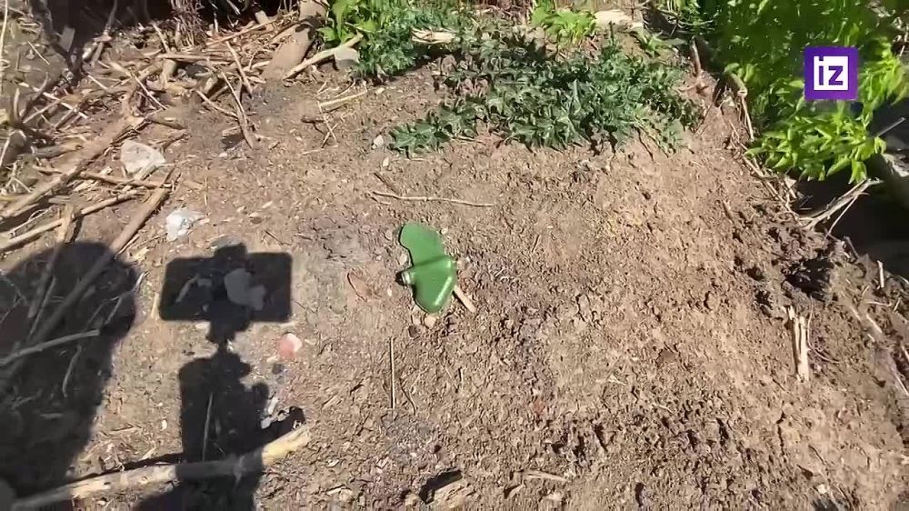 ������� ����� ��� �������� ��������� ������� "����������"