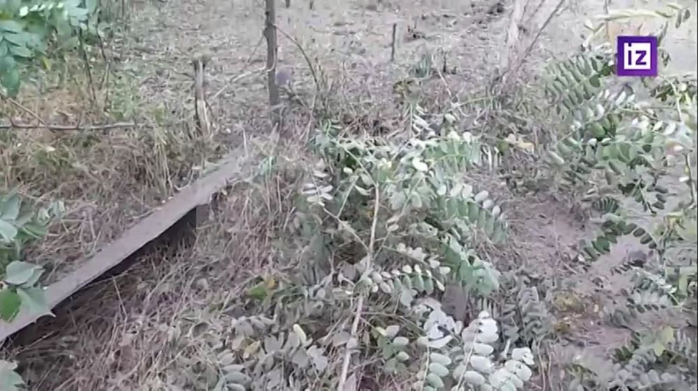 ������������� "��������" ������ ���������� ������� ���������� ������ "�������", �� ������� ��� �� ������ ����������