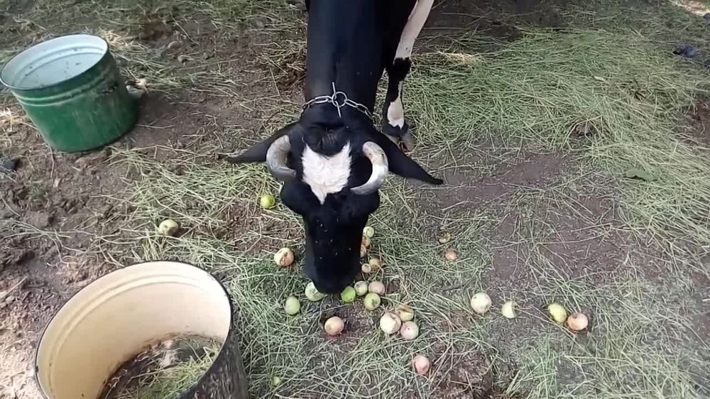 ����� �������� ������ ����� ��������� ���������� ������� �������� ����� ������ �� ��������� �����