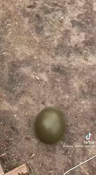������ ���� ���������, ��� ������� ������� ������������ � ����� � �������� � ��������� ���� ������� ��� �� �