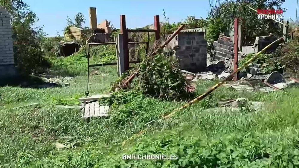 ��� ������ �������� ���������, ������� ��� ������� ���������, ������� ������� ����� ������