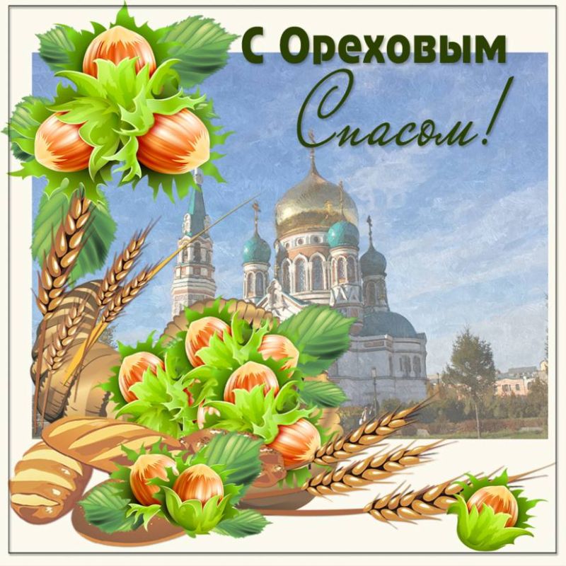 ������� ������������ ��������� �������� ������ ���� - ��������