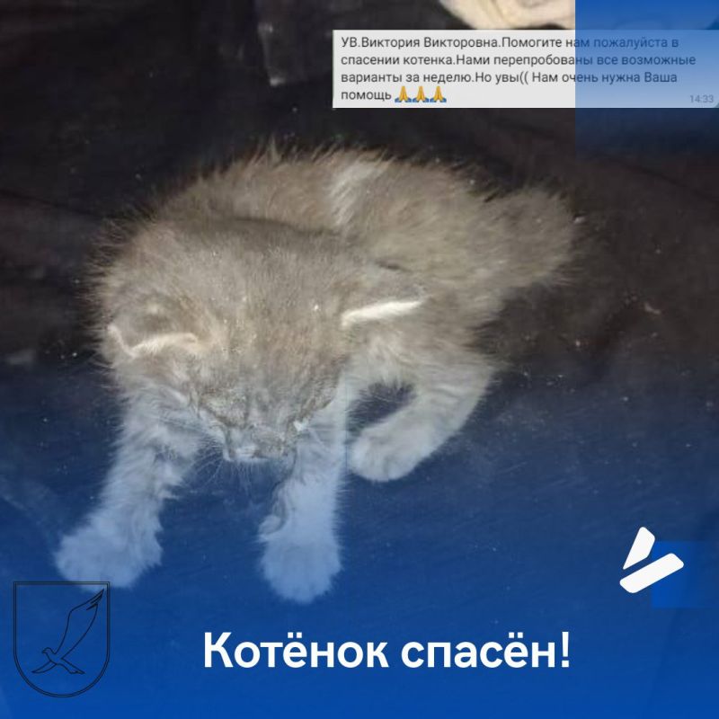 ������� ������!. ����� ��������� ���������� � ������������� � �������� ������ � �������� �������. �� ������ 40 ���...
