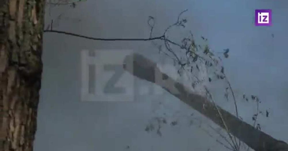 ������� "��������" �������, ��� ���� ��� ���� �� ��� �� ������� ����-�