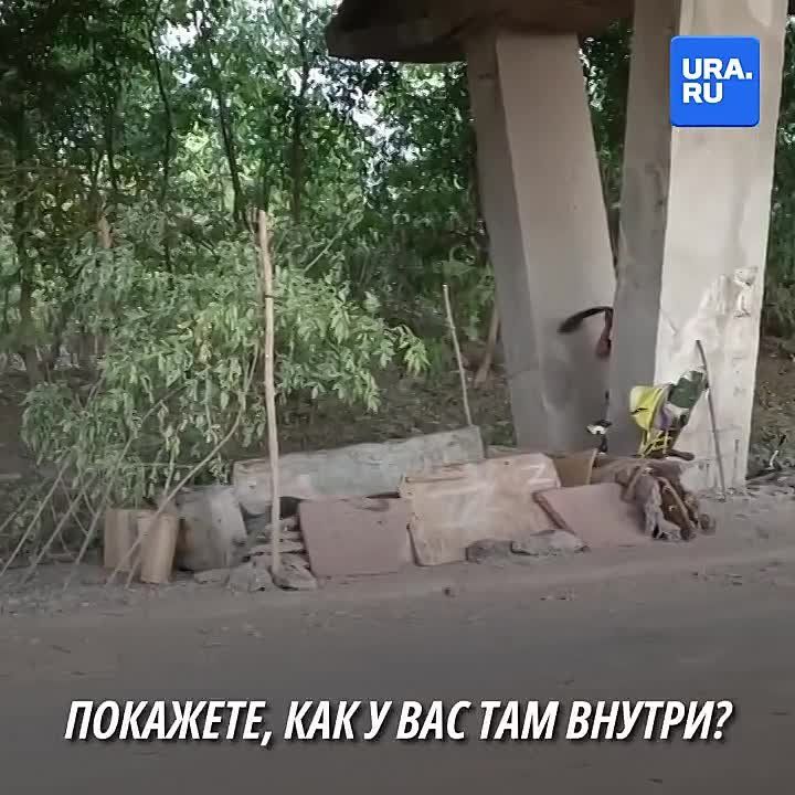 � ������ ��������� (���) ������� ��������� ����������� ��������� ��� ������