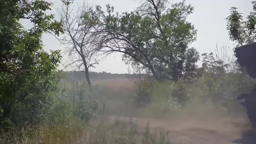 ���������� ������ �������� ����� ������ ������ ���� �����