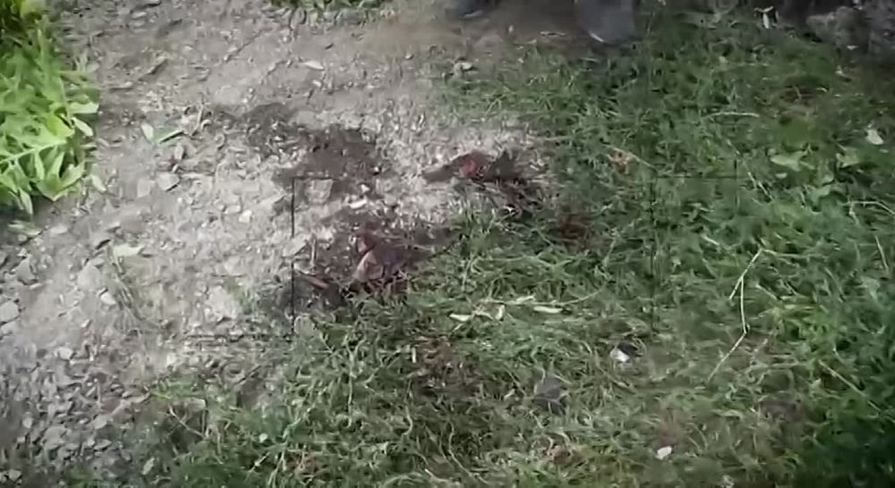 ������� � ������ ������������ ������������� ������ ��� ����� ������� � ���� ������ ��� ������ ��������