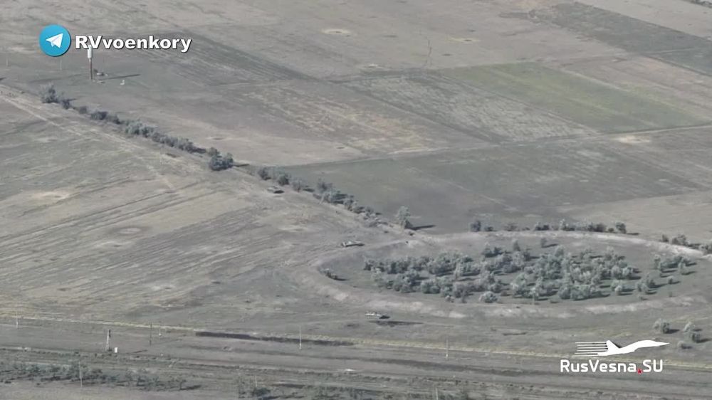 ������ ����� ����� ���� ������: ����� ������� ����� � �������� ���������