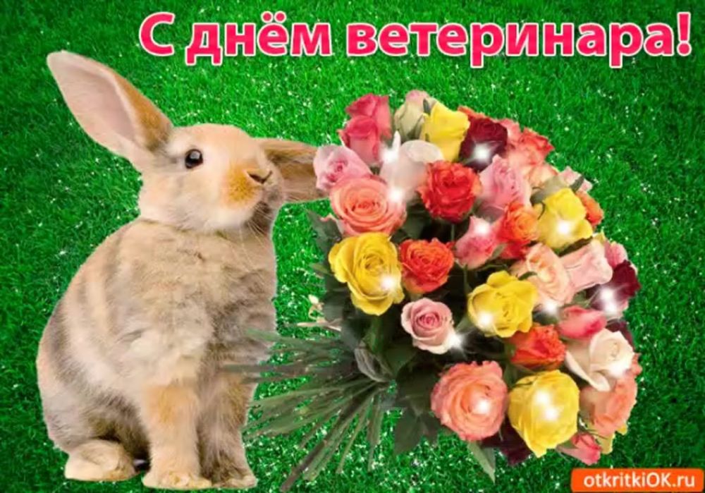 ������� ��������: ��������� �����-���������� � ���������� ������������ ������ ��������������� ������! �� ���� ���� ���������� ��� � ���������������� ����������!