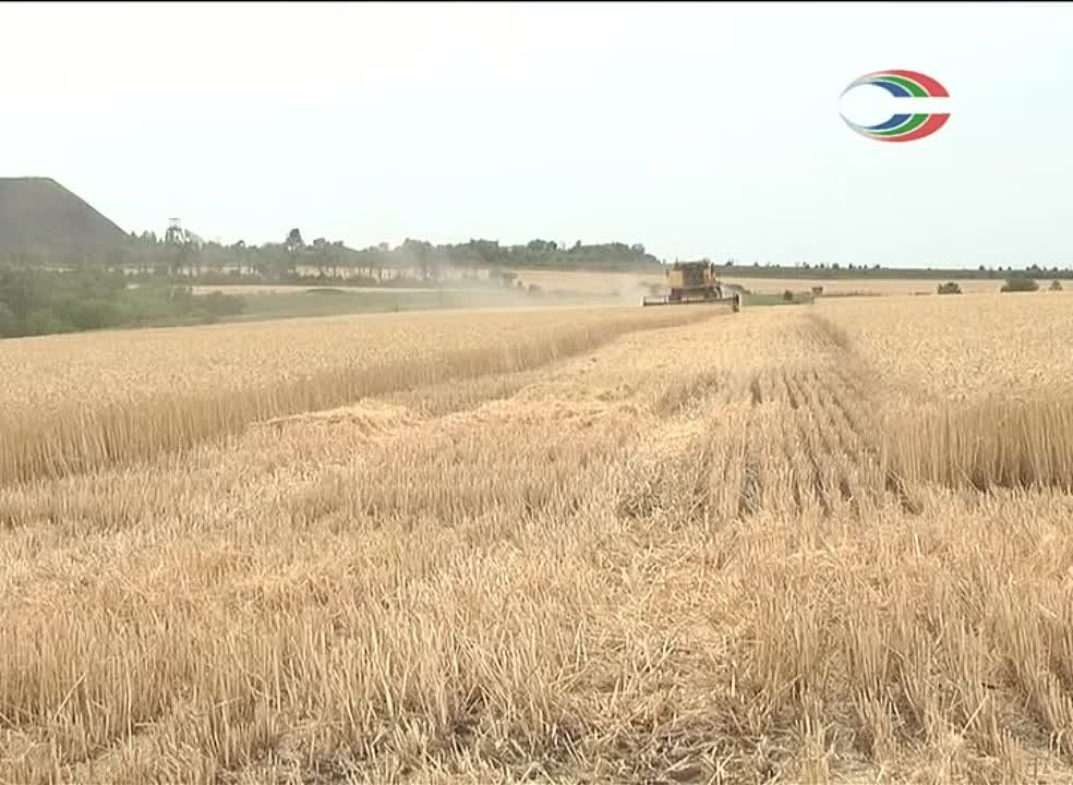 ���� ���������� ������� �������� ���������� �������� � ���� ������� ������