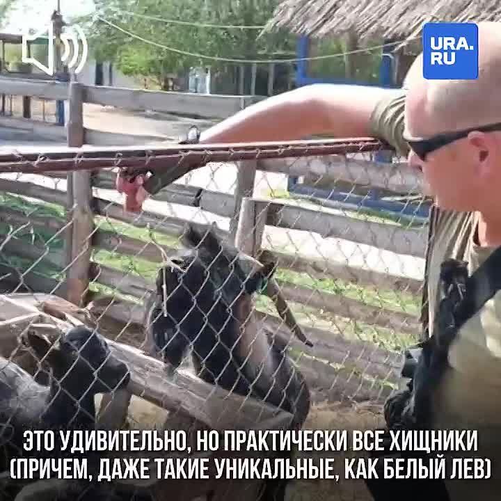 ������������� ������� ���� ������, ���� �������� ���� �� ������������