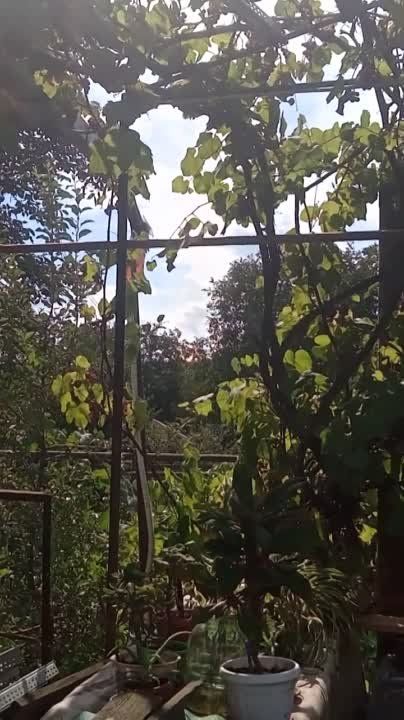 � ���������� �������� ��� ��������� � ���������� � ������� ������� ������, ������������ ����� �������