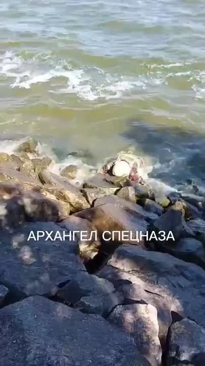 � ������ ������ ��������� ��������� ��������� ����������� "�������"