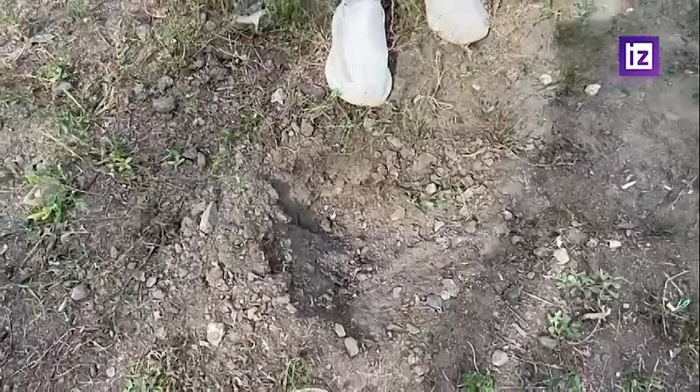 "����� ����������� ������� ������ ���� ��������"
