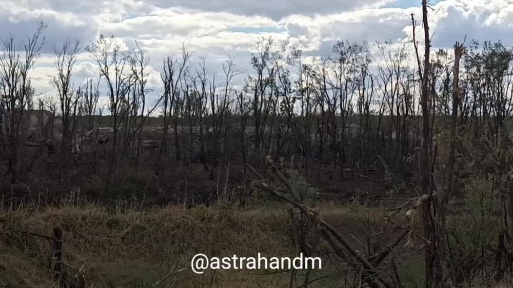 ���������� �������� ������� ����