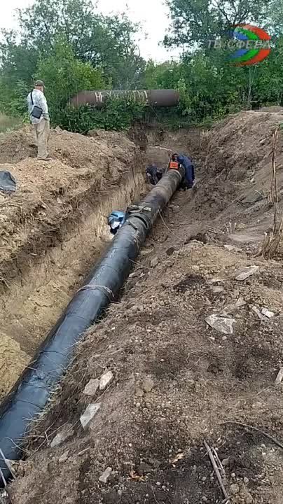 ���� ��������, �������� � ������ �������� ��� ����