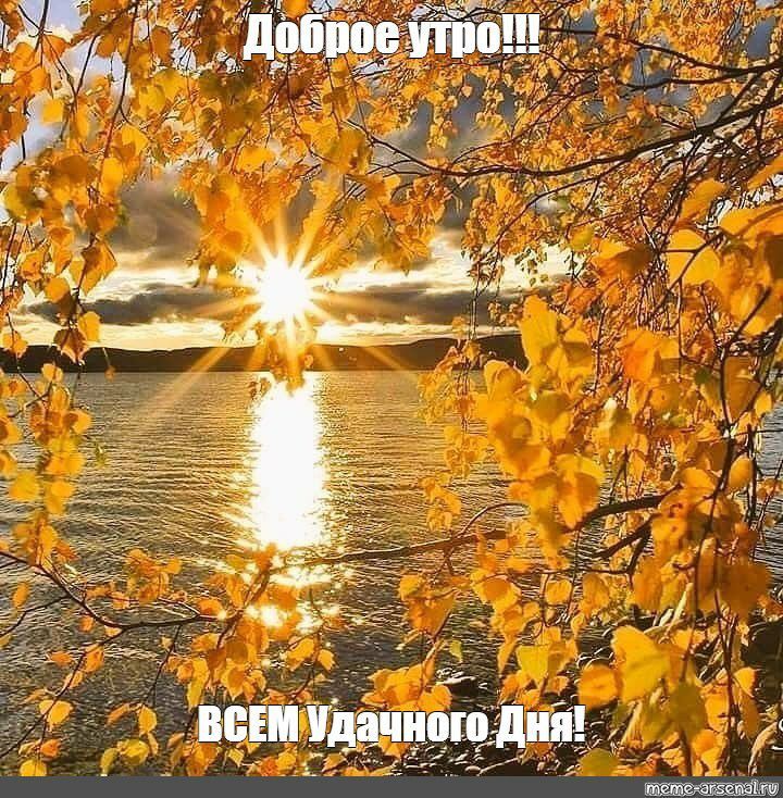 ������� �������: