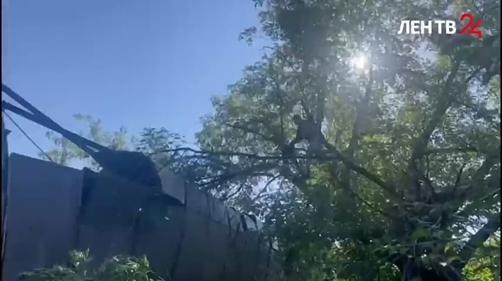 ������� �������� �� �����24 �� 05.09.2022