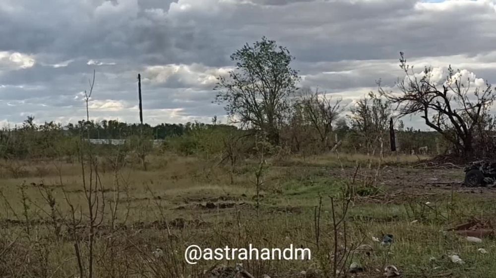 �������� ����� (�������� �������) � ����� ����� ���������� ������ � 11 ������ ����� ���