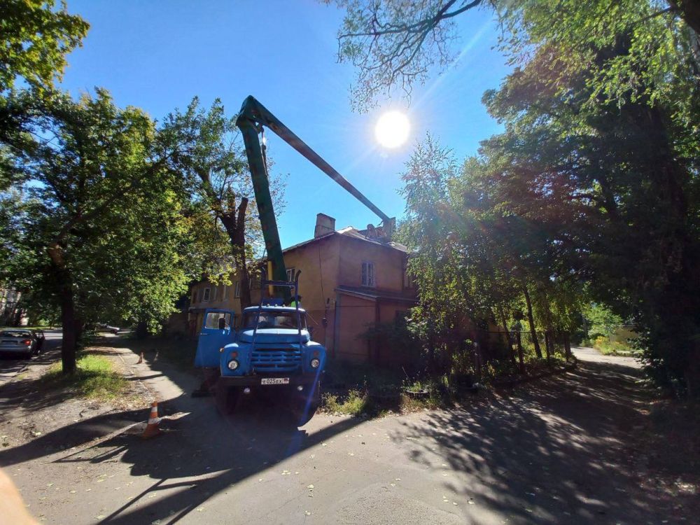 ������� ������: ������������� ��������� ������������ ������������� �. ������� "����������� �������� ������������ ������ �. �������" ������� ������ �� ������� ������, ������������ � ���������� �������� �� ����� �������������, 37