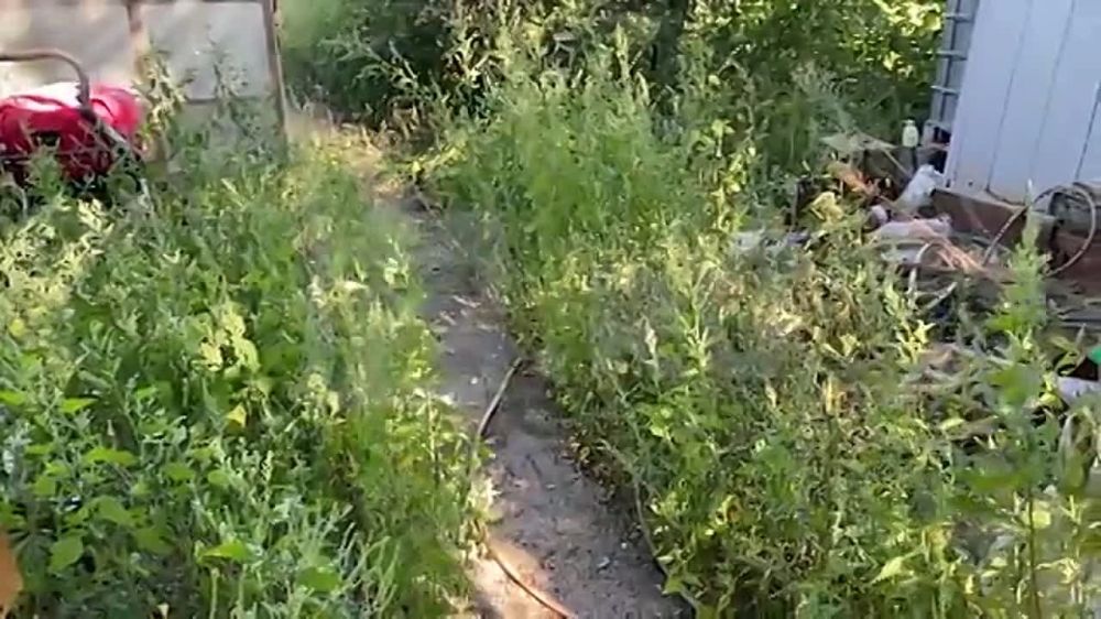 �������� �������, ��������� ����� � ���������� ���������� ������� � ��� ��� ����� �� ����������� �������� ��� �� ������������ �����������