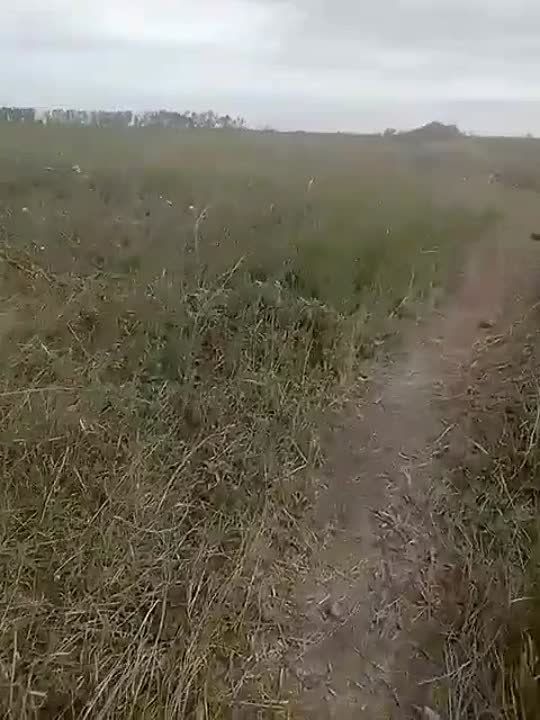 ����� �����: ������ ����������� 11-�� ����� ����� ���. ����� ������ ���������
