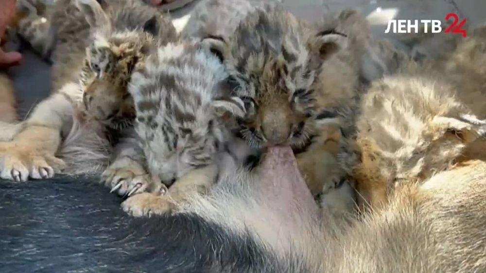 ������� �������� �� �����24 �� 07.09.2022