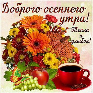 ������� �������: