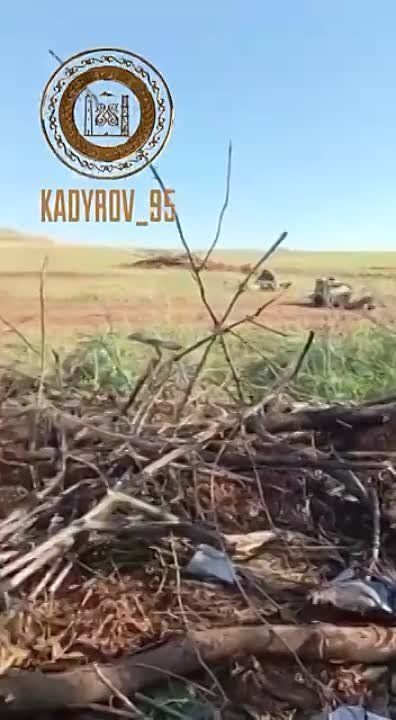 ������ �������: ������� ������ ������ � �������� �������� ��������� ����� ��� ������ �������� ����� ������� �������� �������� ����������