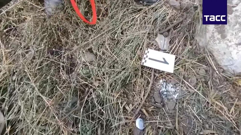 ����������� �� �� ������������� ������� ��� ������������� ������ �������, ��� ������� ��� ������ ������, �������� � ���������