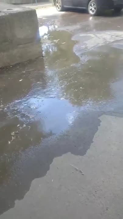 ��. ���������, 46 ��������� ����� #�������
