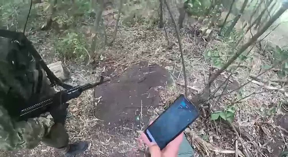 ����� �������: ���������. ��������� ������������ ��������������� ������������ ���: �� ���������� ������������� �������� ���� ������������� ������� �� ���������� ���������� �� ������� ���������� ��û