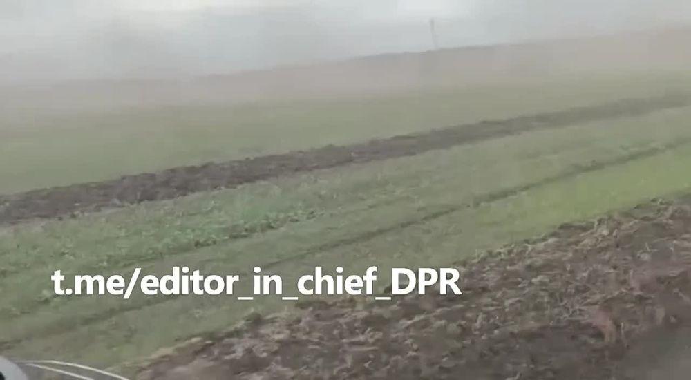 �������� ����������: ���� ����� ��� � ����! ��� ���������� � ������������ ����������� � ���