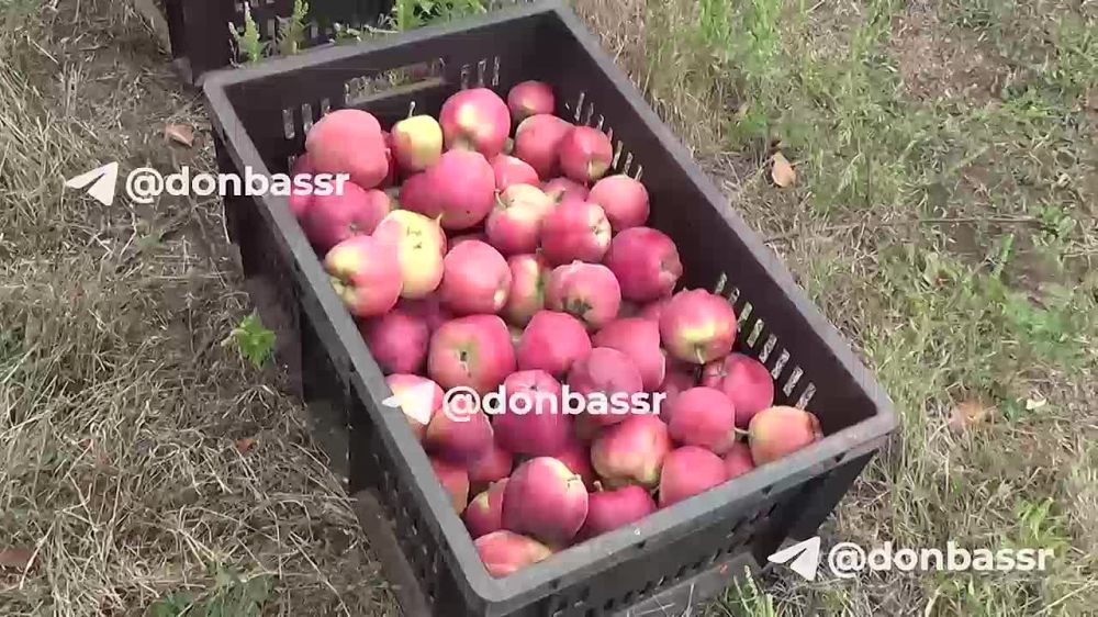 ������ �� ����, ����������� ������ ������ ��� ����������, ��� � ��������� ���� ������ �������������� �� ����������� ���������� ������