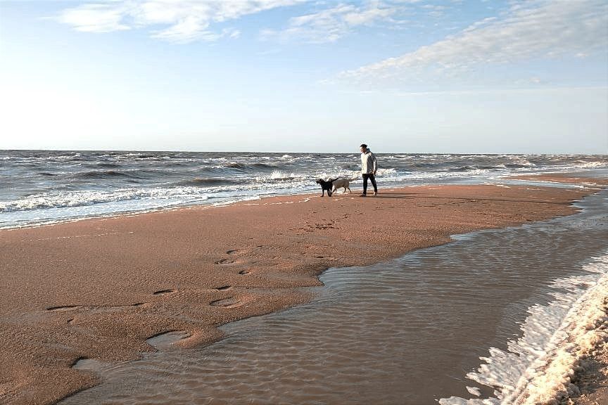 ����� ��������: ���-�� �� ��� ���.. ��������'22